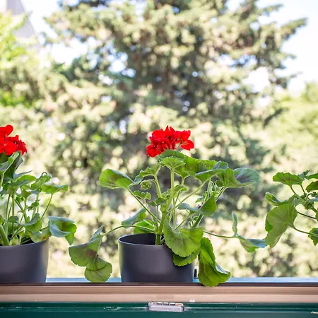 Korta Apartamento Split