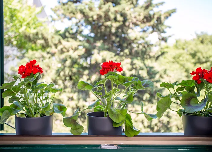 Korta شقة سبليت